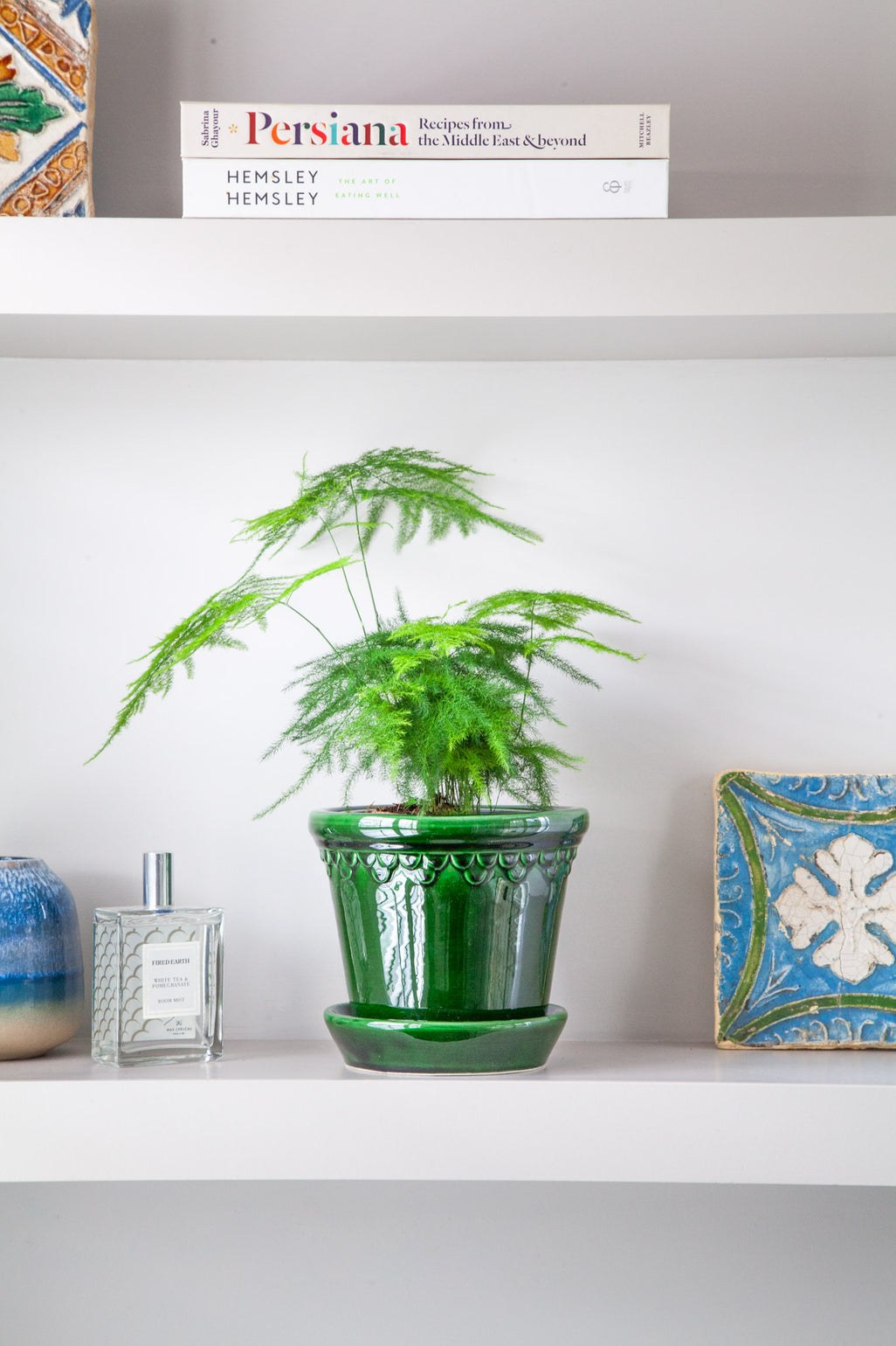 files/IndoorPlants_2-JamieShots20.11.2023-020.jpg